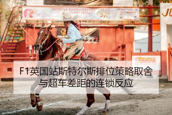 ying-guo-zhan-si-te-er-si-pai-wei-ce-lve-qu-she-yu-chao-che-cha-ju-de-lian-suo-fan-ying-2-192.jpg